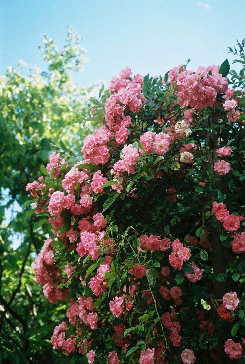 グリーンフィールド株式会社 - Image 1